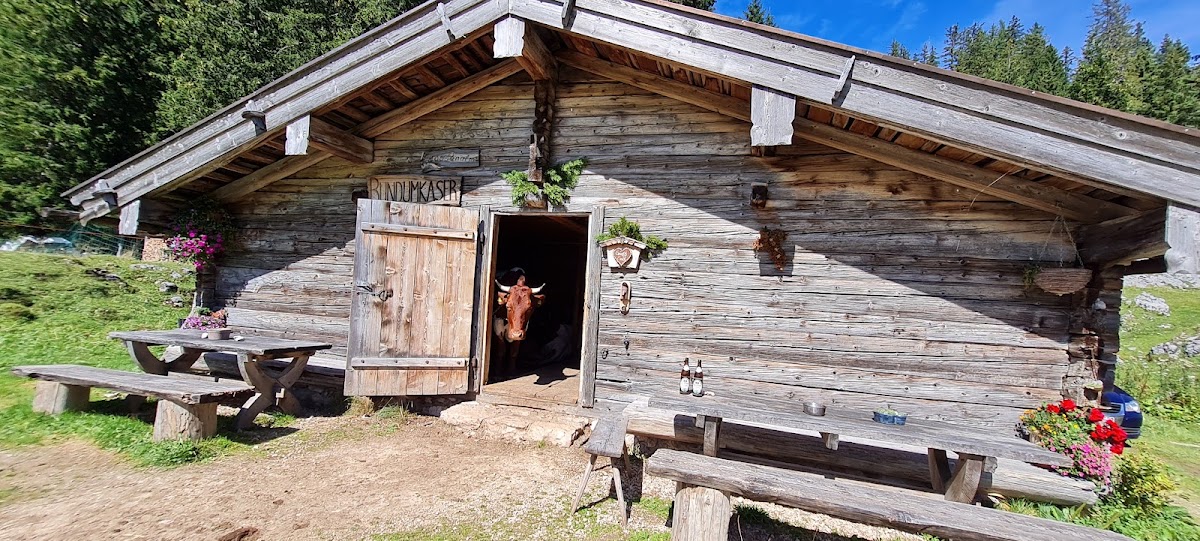 Die Moosenalm