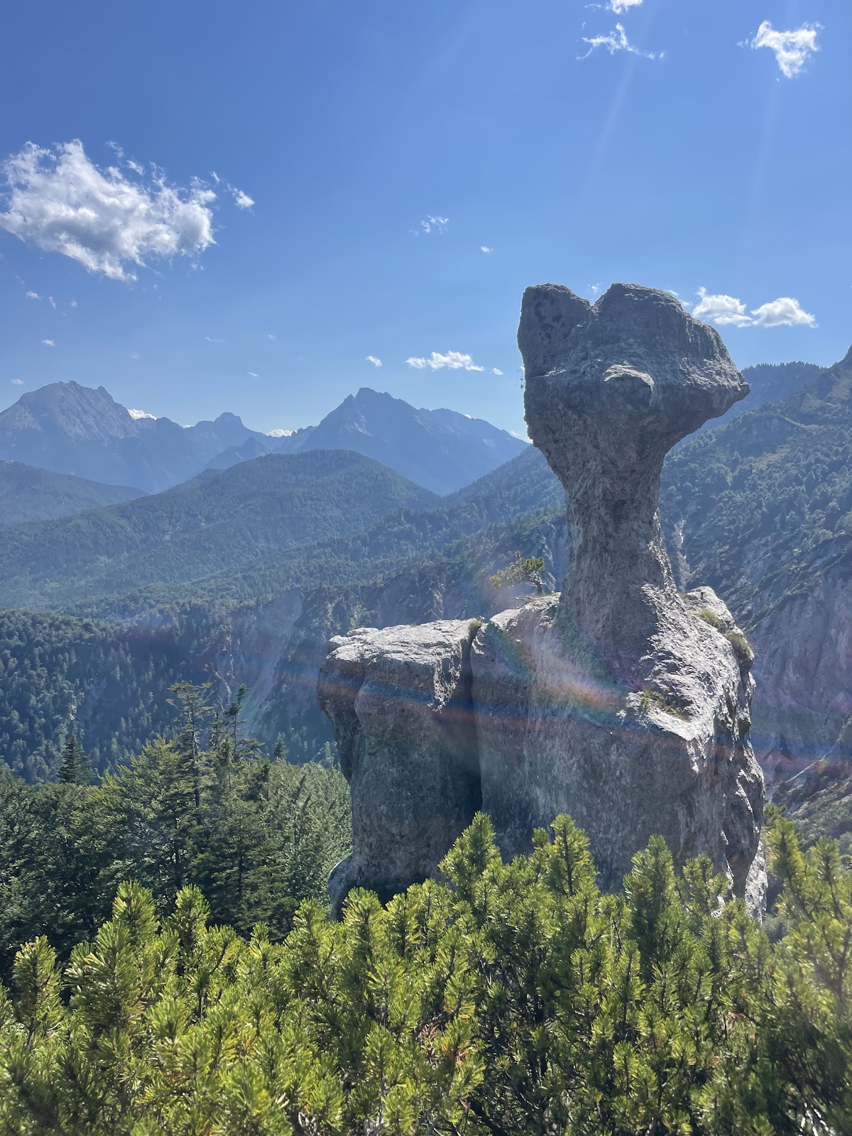 Die Steinerne Agnes