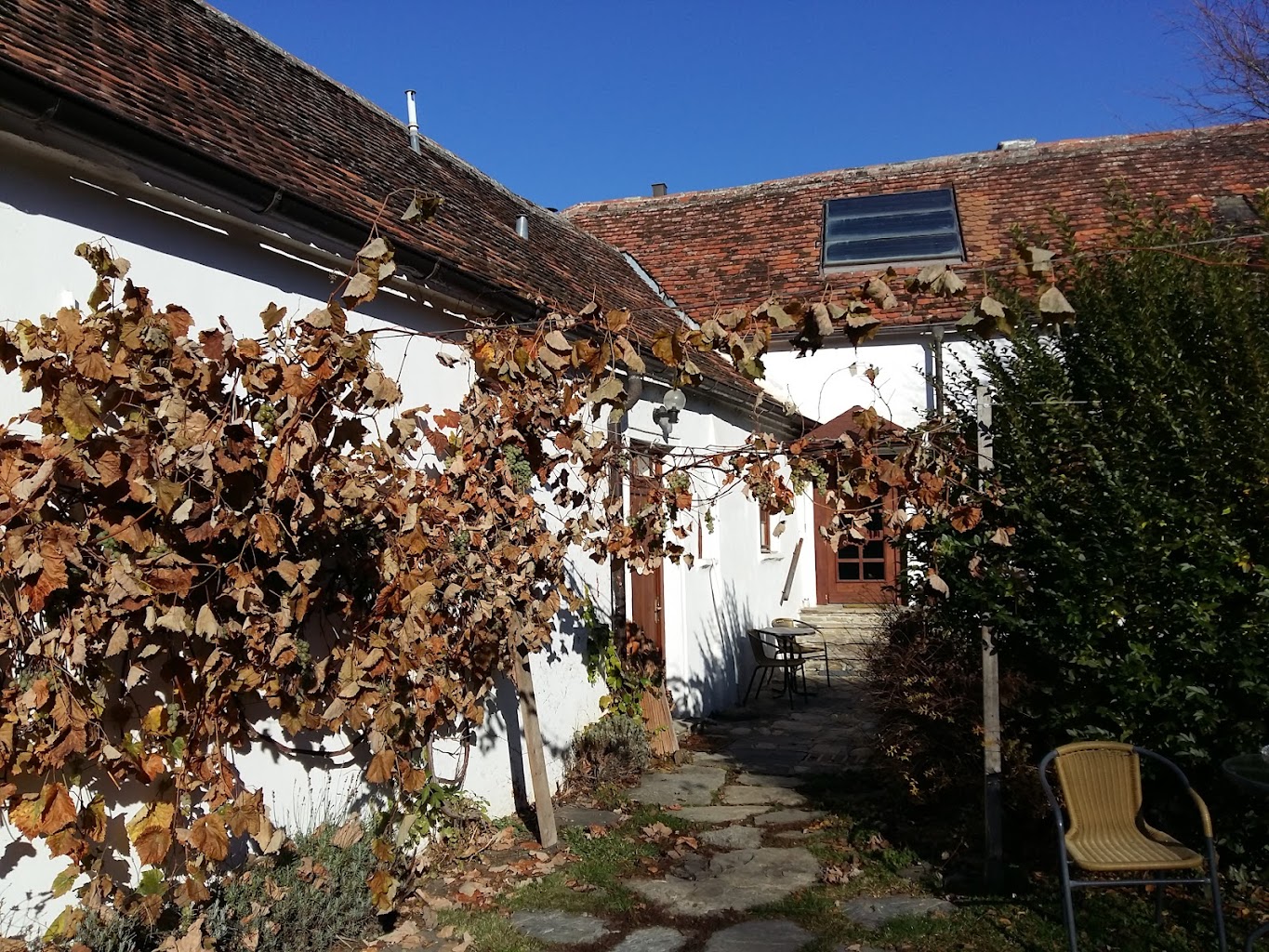 Biohof Steinböck