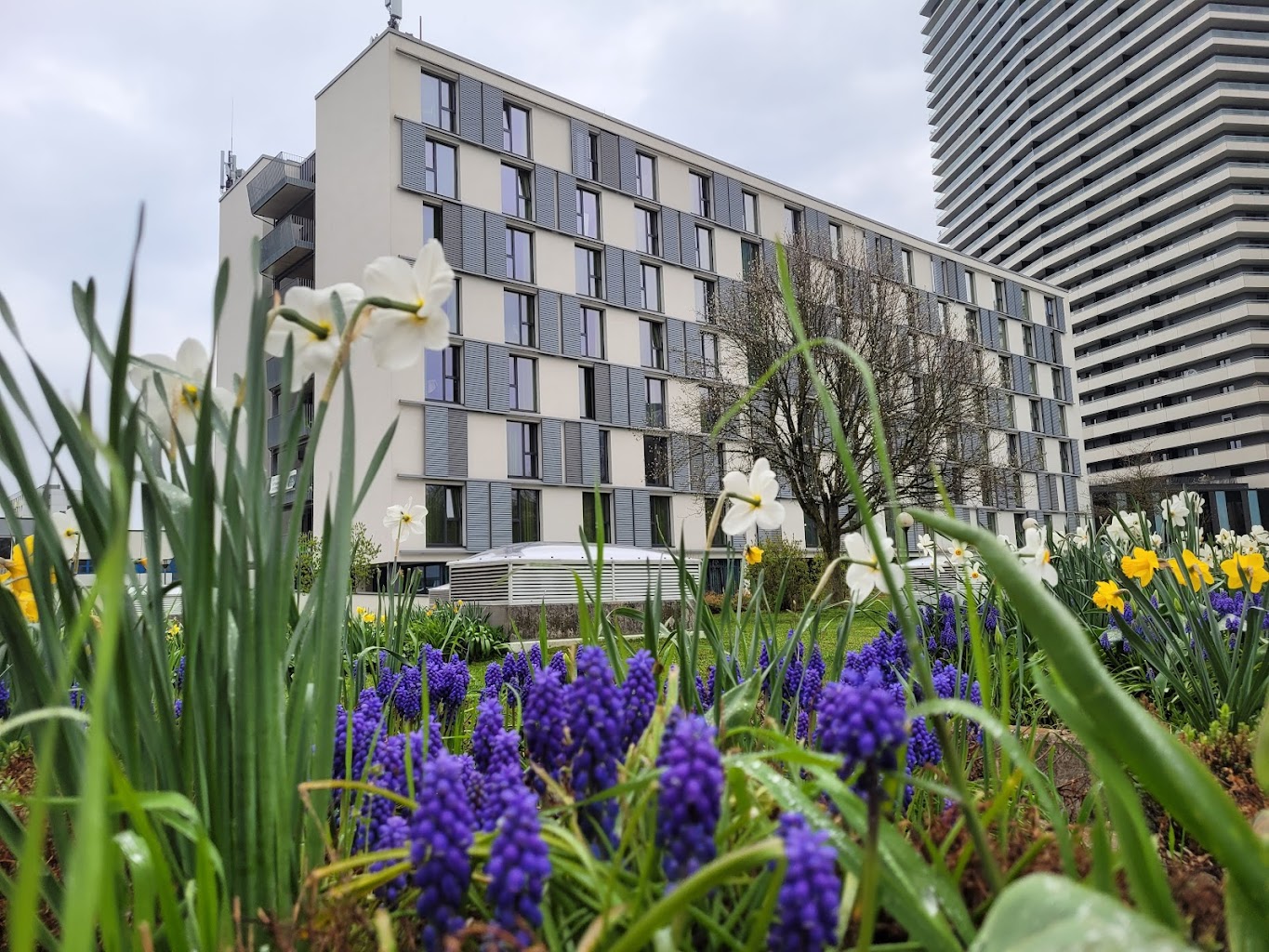 Codomo Living Linz