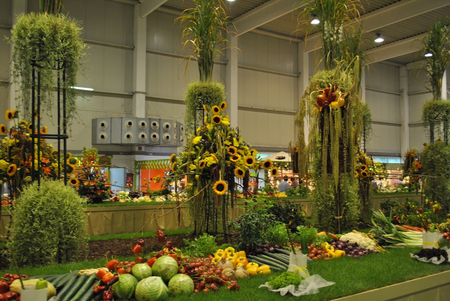 Messe Tulln Niederösterreich Halle
