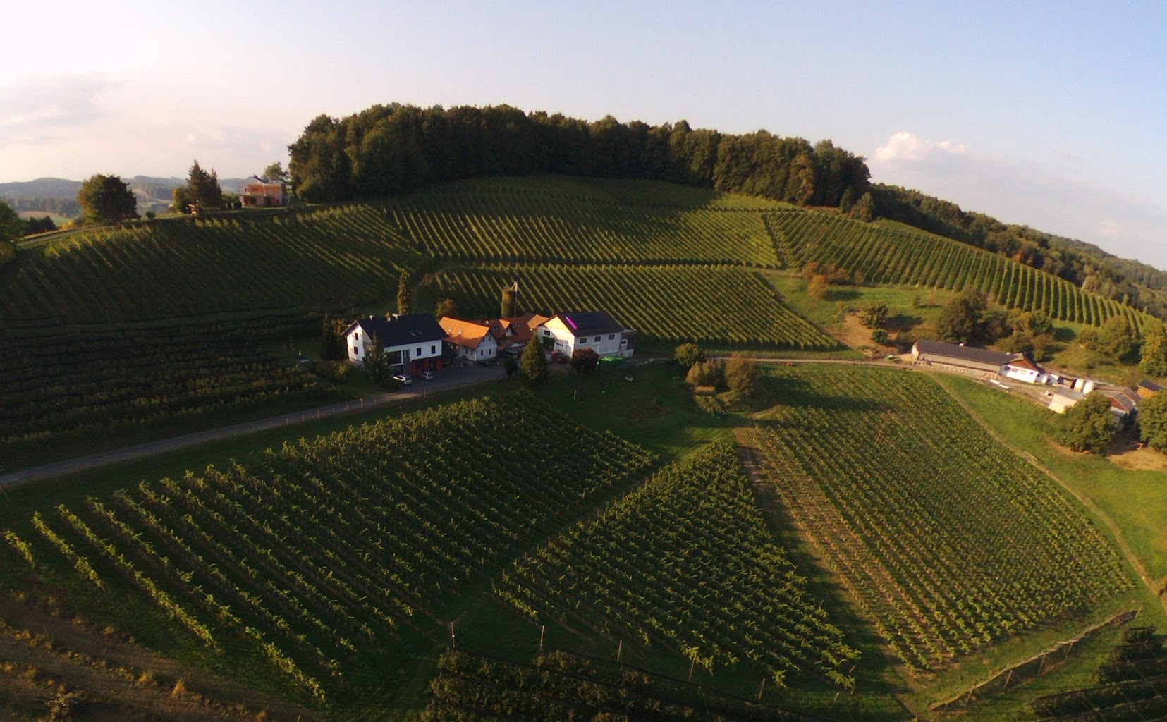Weingut Dietl – Urlaub am Winzerhof