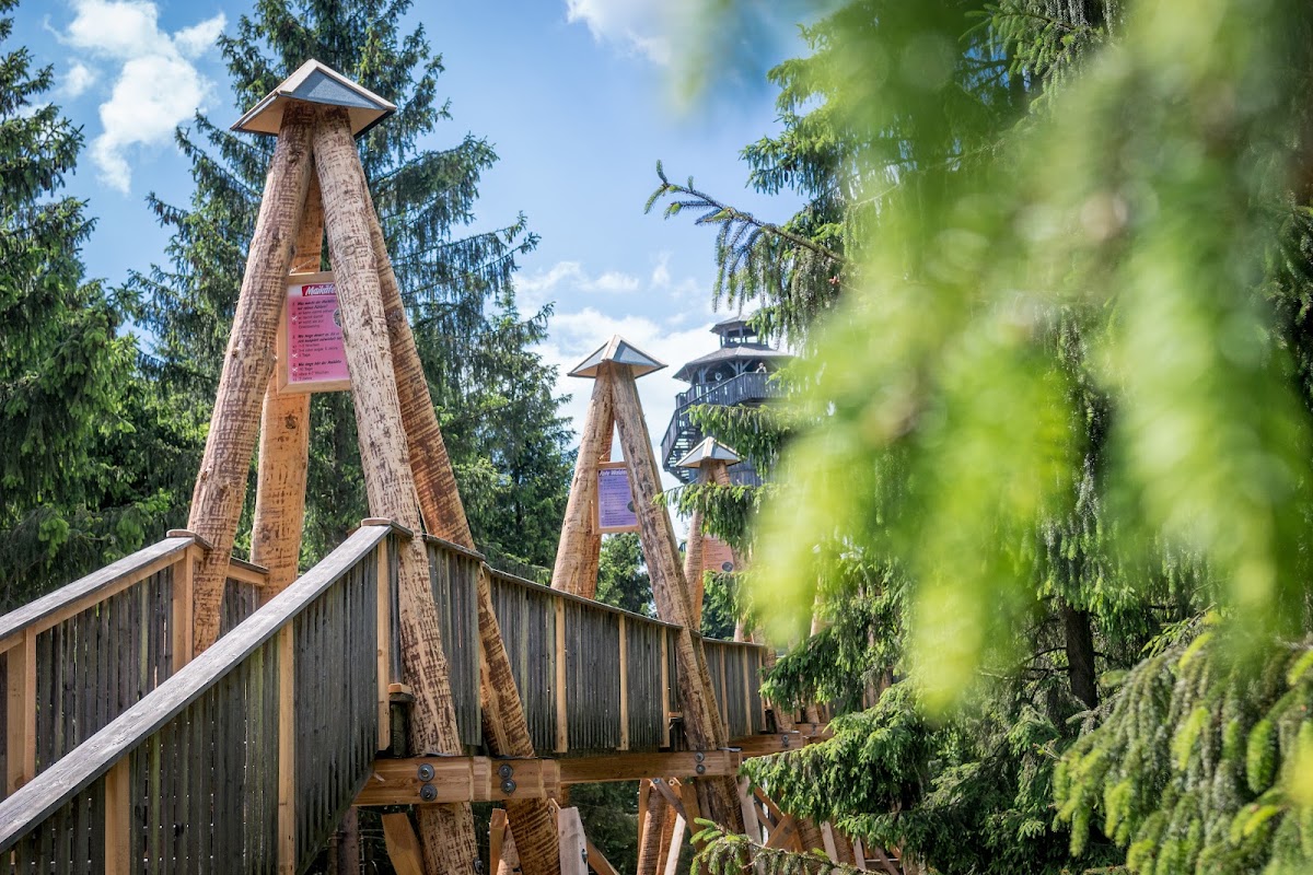 Baumkronenweg im Jeli-Zaubergarten
