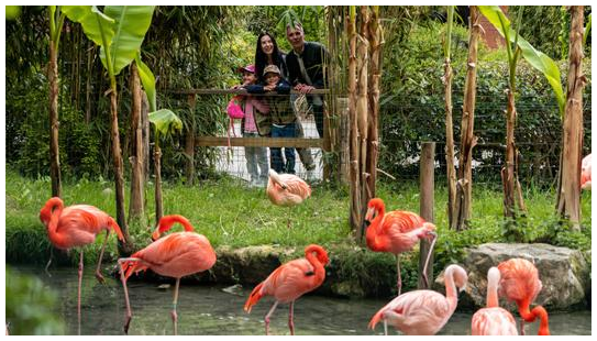 Tierpark Natura Viva (Parco Natura Viva)