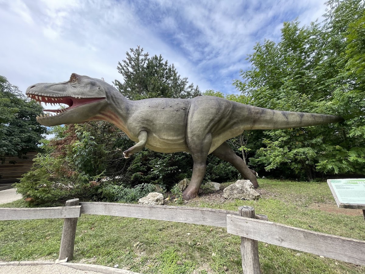 Tierpark Veszprém (Veszprémi Állatkert)