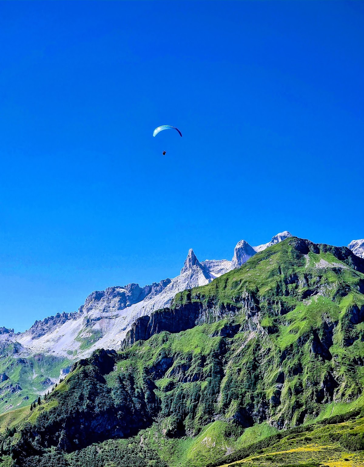 Golmi’s Forschungspfad