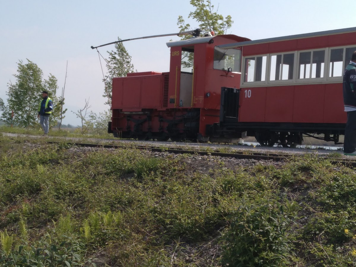Rhein-Schauen – Museum und Rheinbahnle