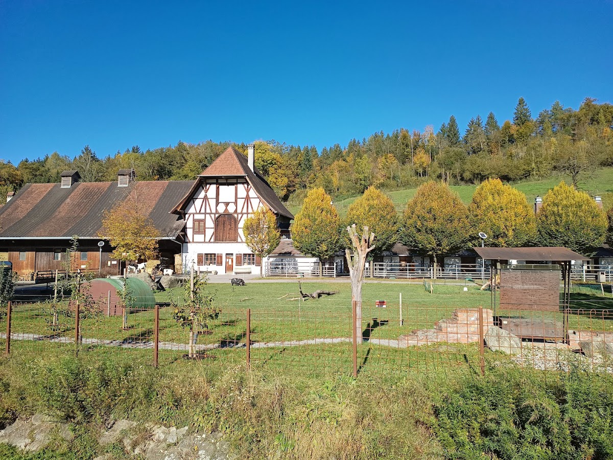 Sunnahof Lebenshilfe Vorarlberg