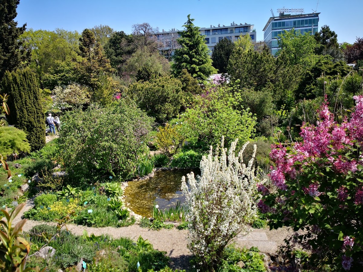 Alpengarten Belvederegarten