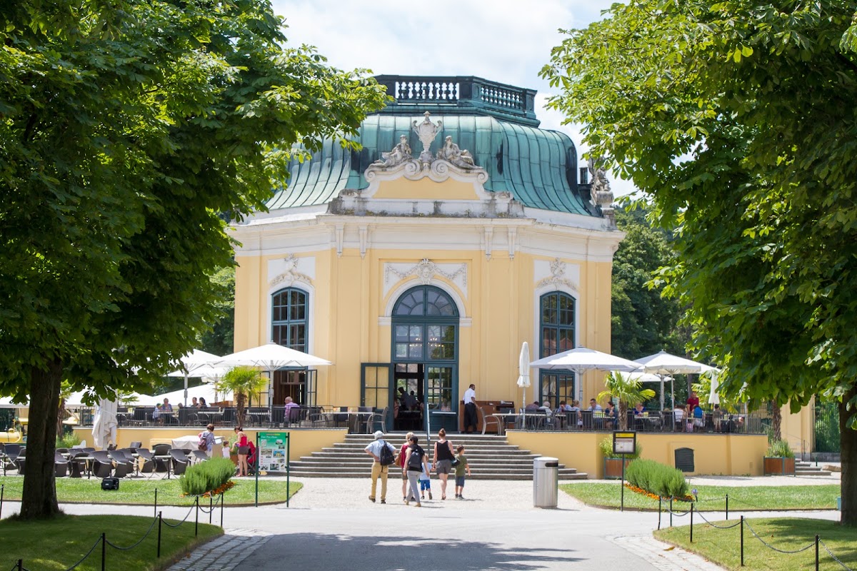 Baumkronenpfad „Im Wald“ im Tiergarten Schönbrunn