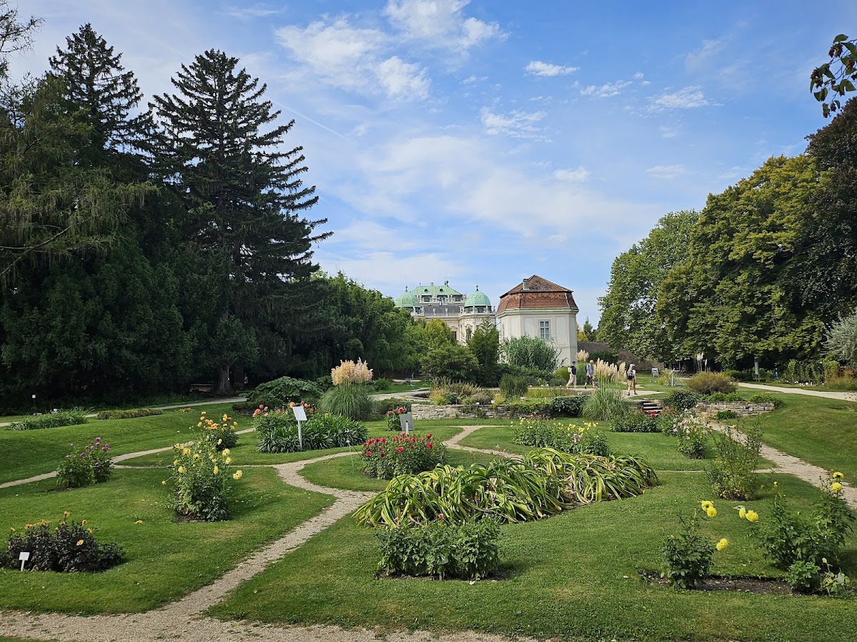 Botanischer Garten der Universität Wien