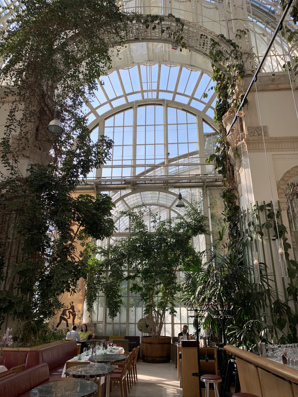 Großes Palmenhaus Schönbrunn