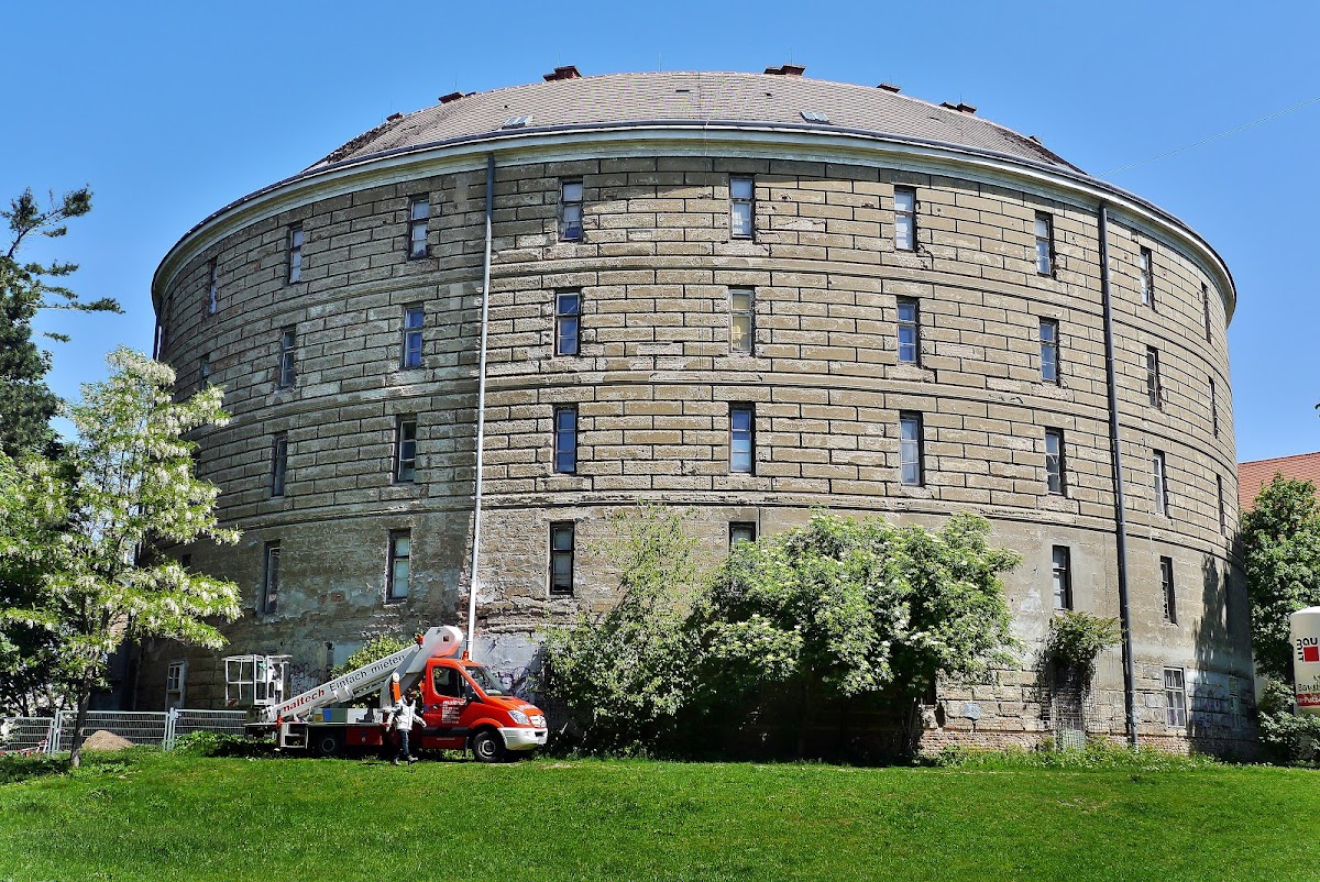 Pathologisch-anatomische Sammlung im Narrenturm