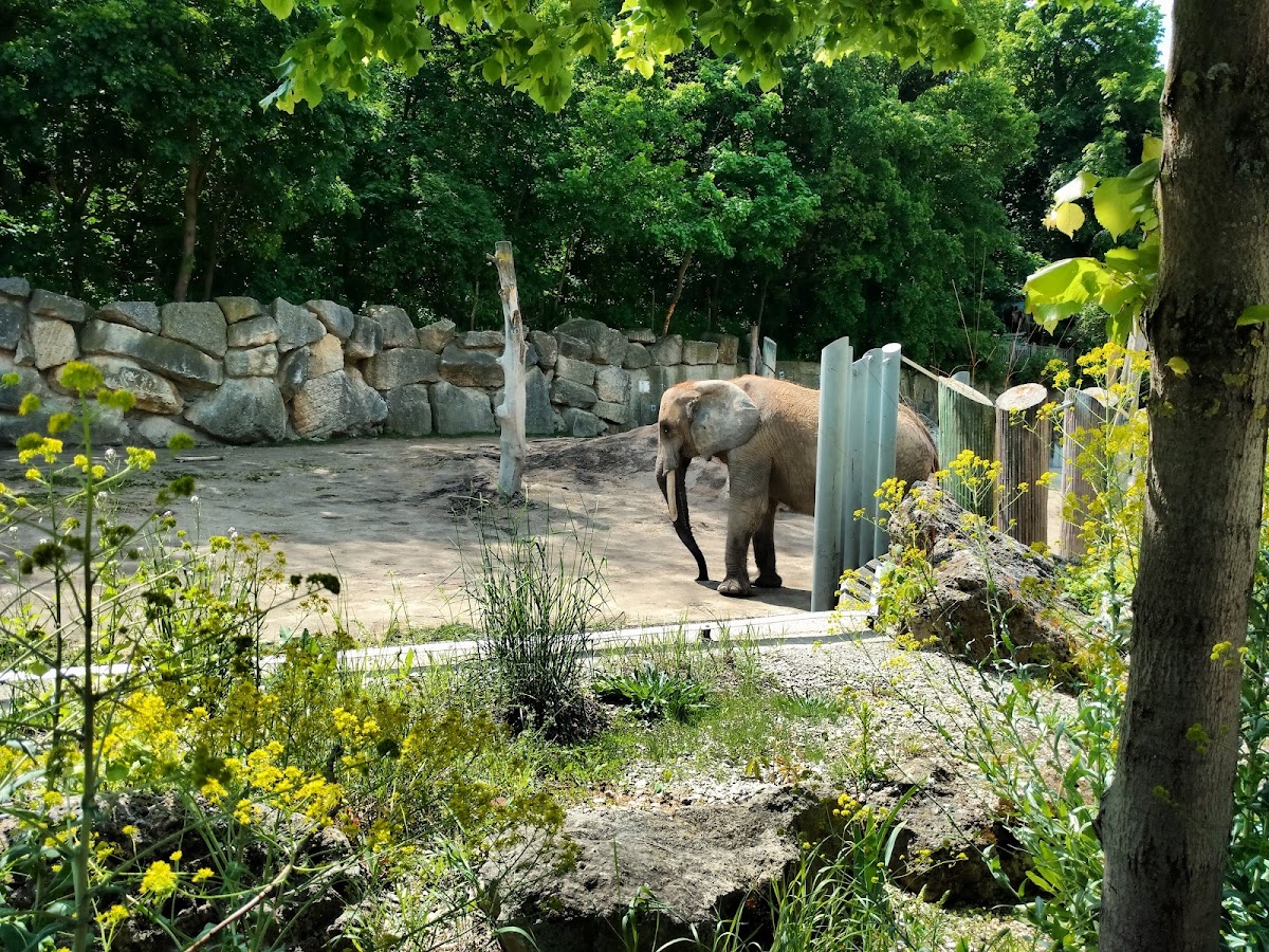 Tiergarten Schönbrunn